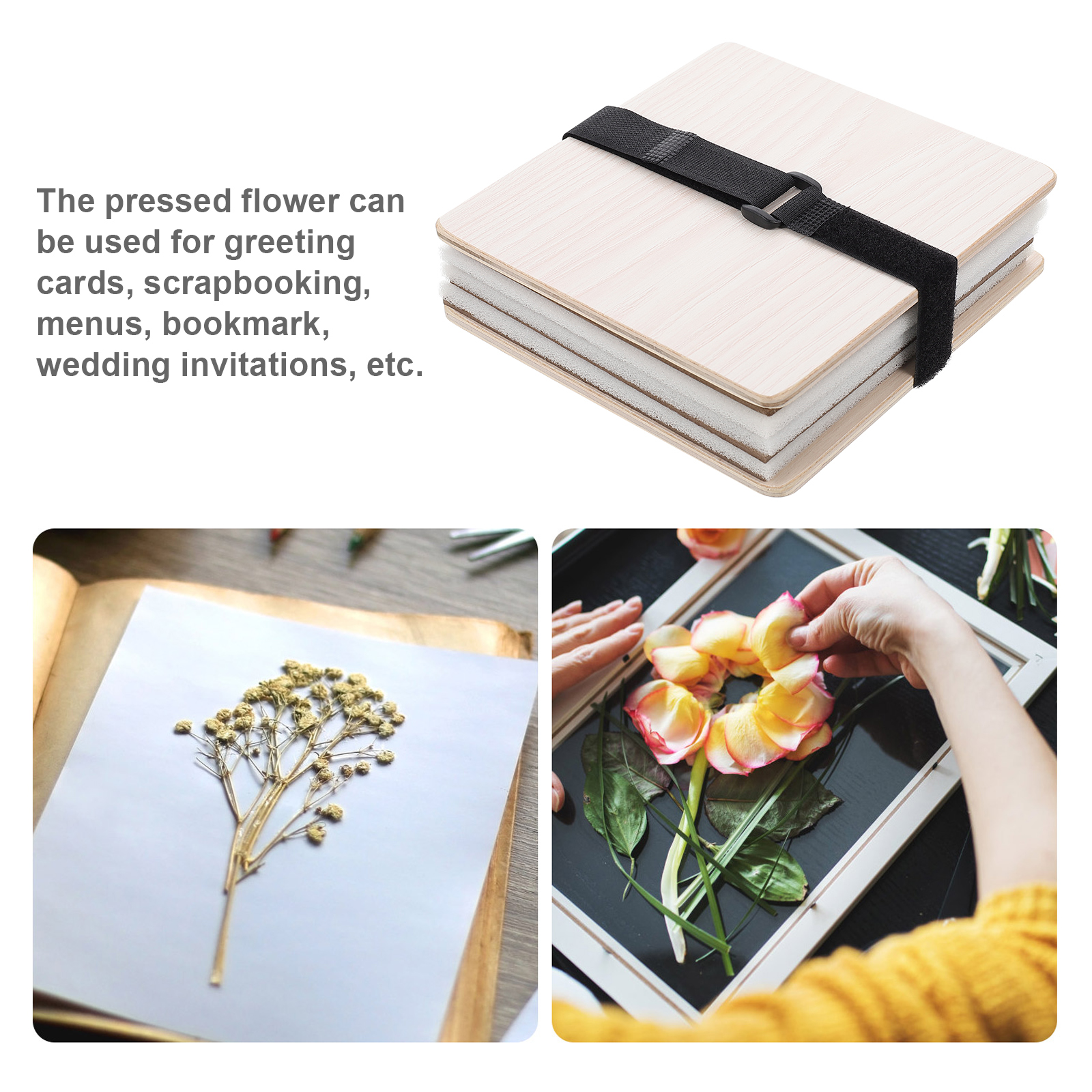 1 set Flower Press Kit Plant L - مراجعة Ink Blotter Paper وسعره