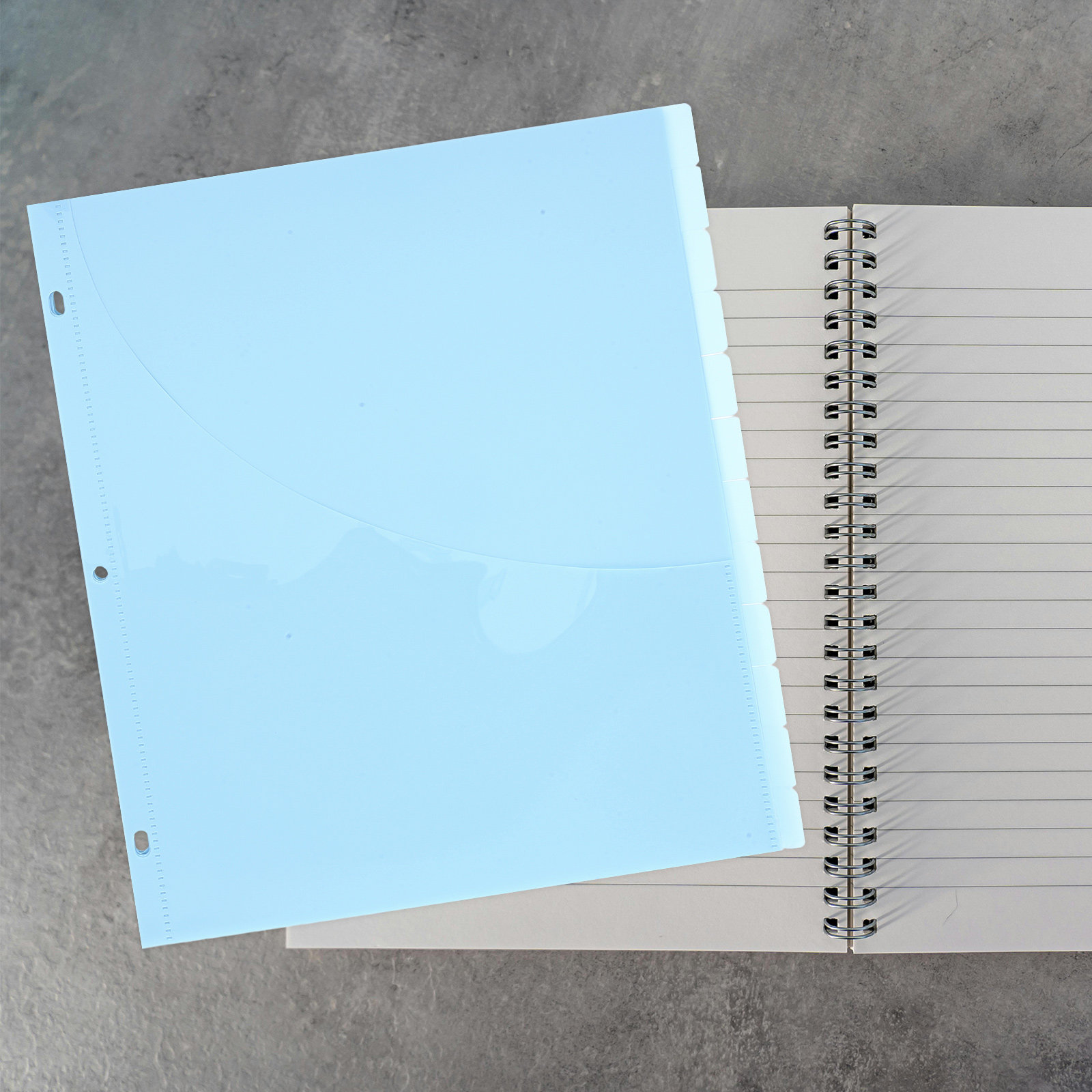 12Pcs Binder Dividers A4 Plast - مراجعة Tab Divider A4 وسعره