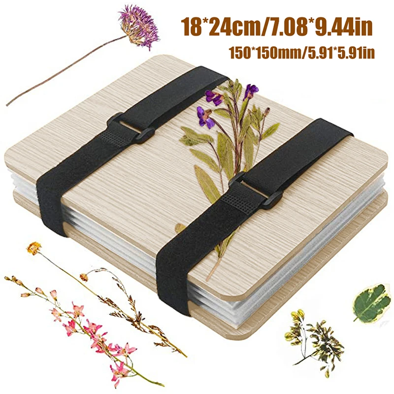 1 Set Plant Specimen Tool Kit  - مراجعة Ink Blotter Paper وسعره